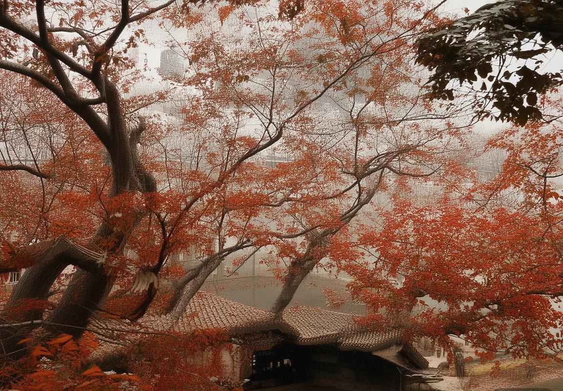 王者荣耀朔组织全解析：海月与云中漠地英雄背景故事揭秘